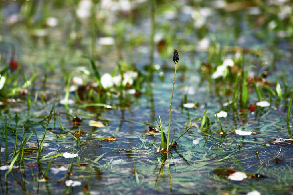 after cold rain