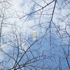free me to the sky