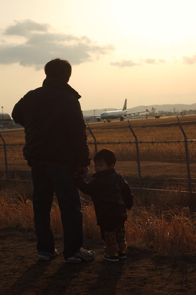 飛行機見学