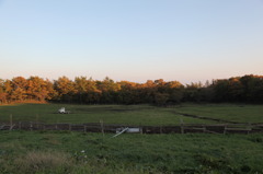 牧場