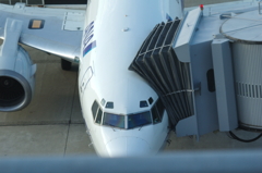飛行機
