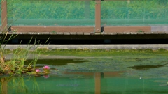 夏3