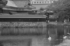 松本城4