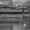 松本城4