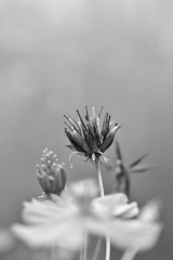 おわり
