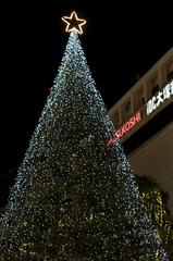 クリスマスTree