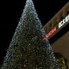 クリスマスTree