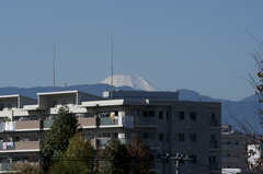近所の風景