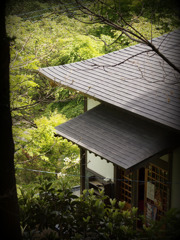 _5132223s