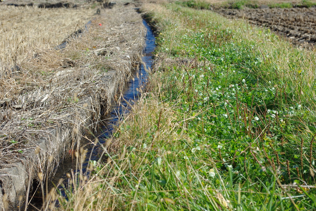 境目ってやつだ！