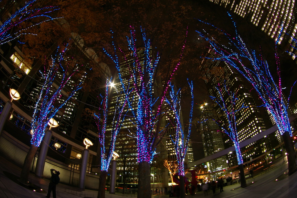 新宿幻夜