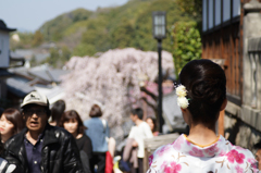 京都にいきました