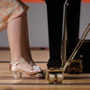 Classic BeautyⅡ