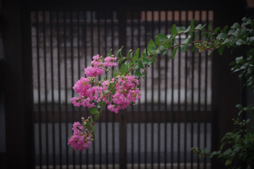 雨上がり