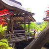 橋