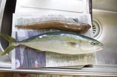 神様の贈り物Ⅱ（感謝）