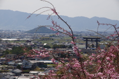 大三輪神社からの眺望