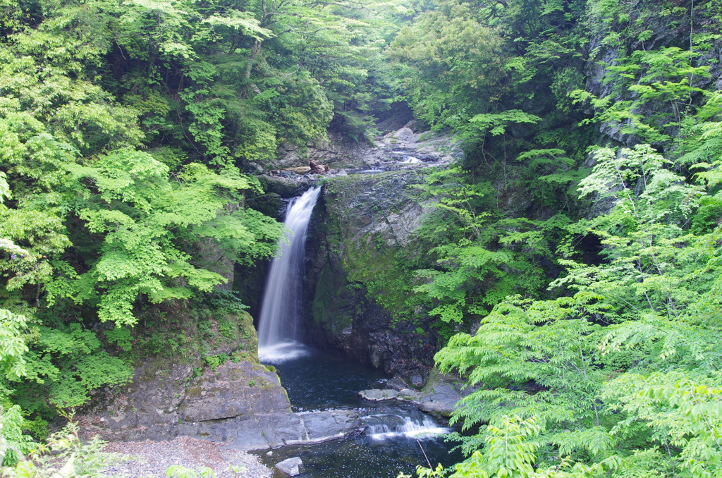 大滝