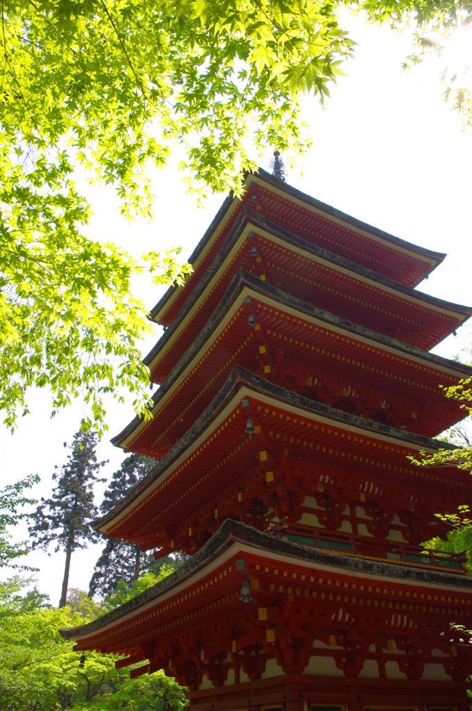 新緑と塔