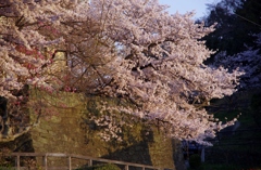 窓からの風景