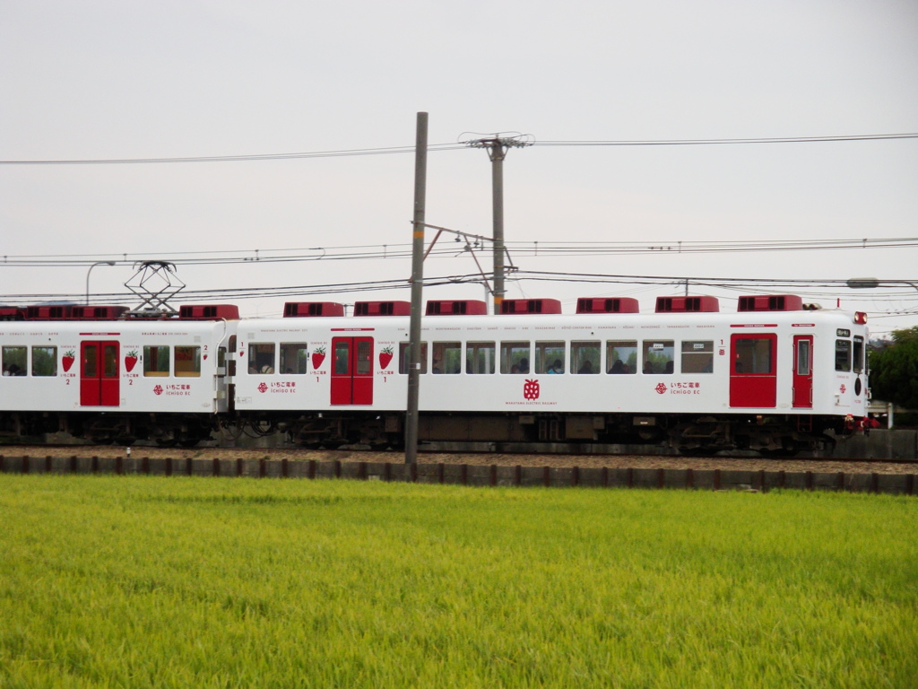 09.11.22.イチゴ電車 002