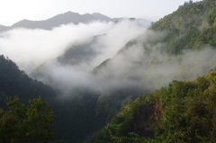 雲海