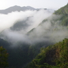 雲海