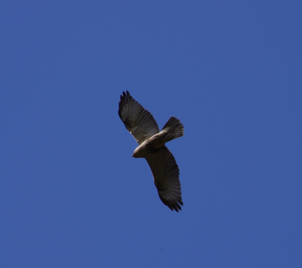 名前？教えて下さい