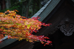 高野山 