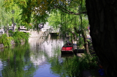 倉敷 水景