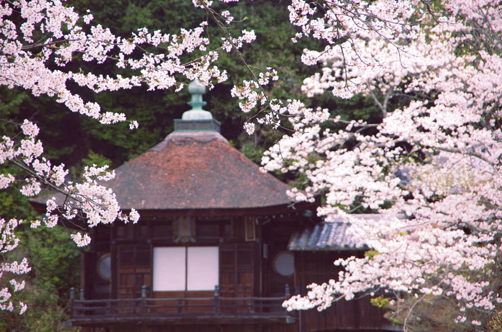 紀州根来寺