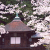 紀州根来寺