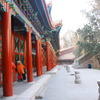 2008china60069