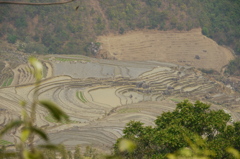 P1050963