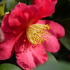 P1090449
