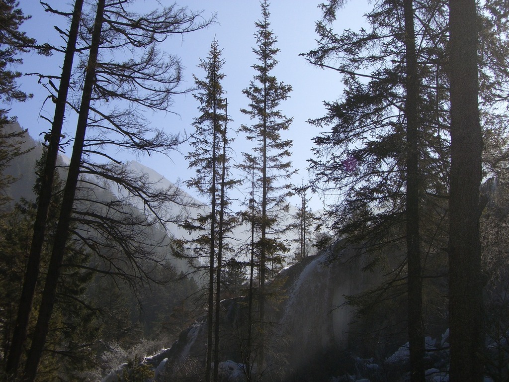 CIMG0105