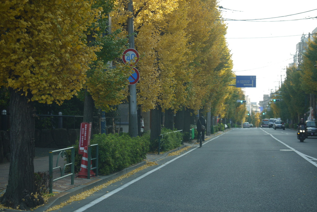 P1100088