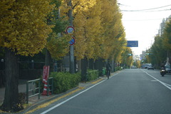 P1100088