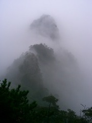 黄山霧の中