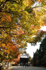 神護寺2009