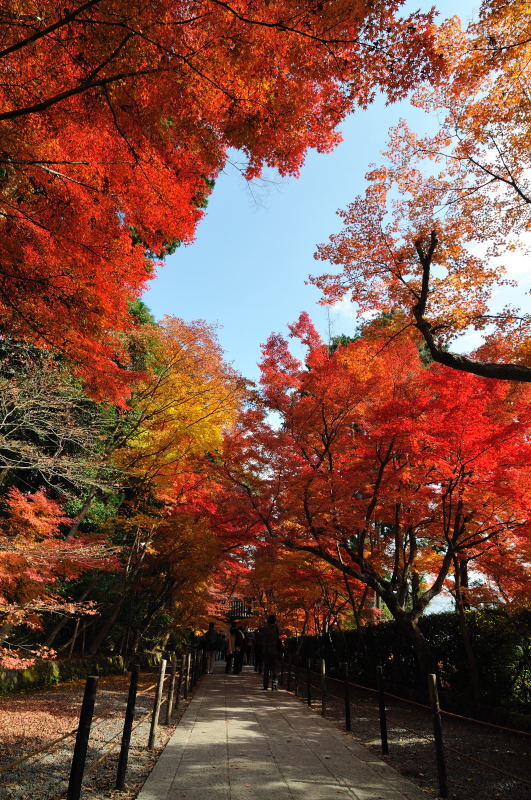 燃える京都