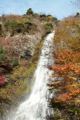 雨上がりの天滝