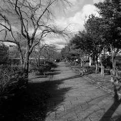 京都川端通りにて