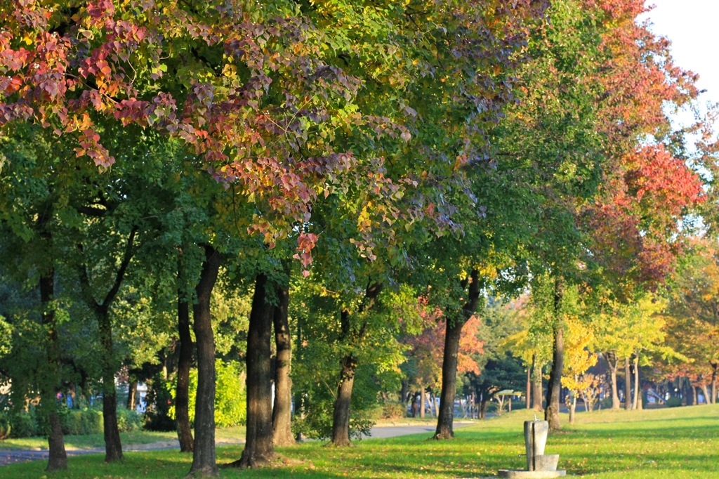 Park of relief