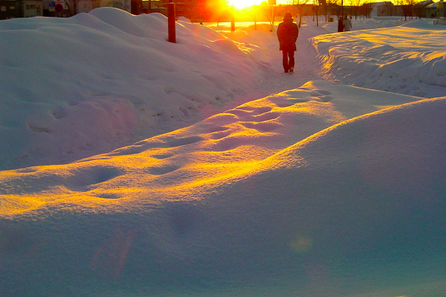 雪を照らす朝の光