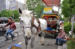 エコ・ドライブ