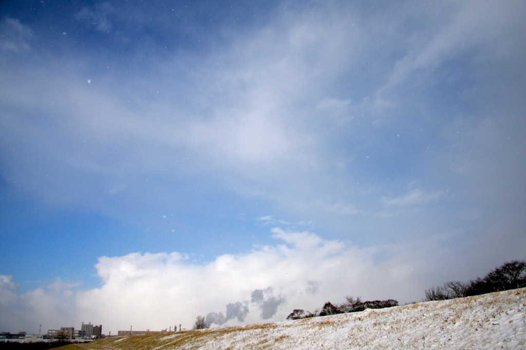 雪が降りてくる