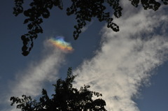 誕生日の空。