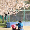 初めての春