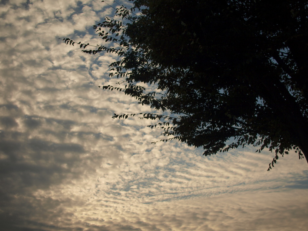 地元空。